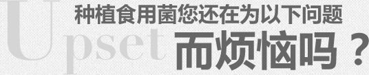 种植食用菌您还在为以下问题而烦恼吗？