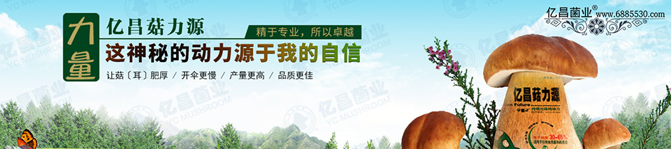亿昌菇力源——让菇（耳）肥厚、开伞更慢、产量更高、品质更佳